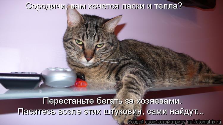 Сородичи, вам хочется ласки и тепла? Перестаньте бегать за хозяевами. Паситесь возле этих штуковин, с... Котоматрица: Сородичи, вам хочется ласки и тепла? Перестаньте бегать за хозяевами. Паситесь возле этих штуковин, сами найдут...
