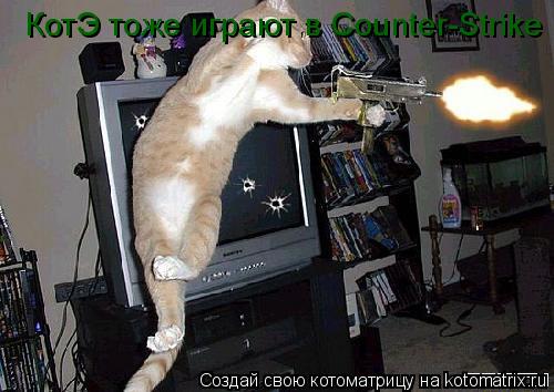 КотЭ тоже играют в Counter-Strike... Котоматрица: КотЭ тоже играют в Counter-Strike