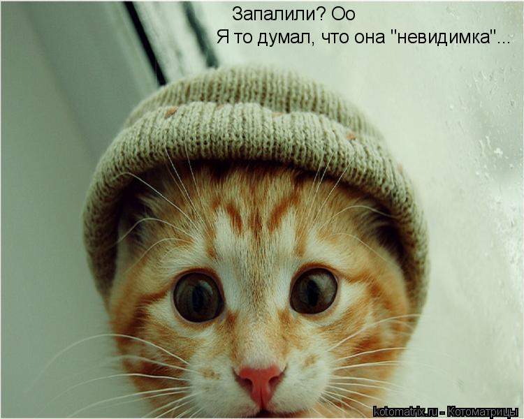 Запалили? Оо Я то думал, что она "невидимка"...... Котоматрица: Запалили? Оо Я то думал, что она "невидимка"...