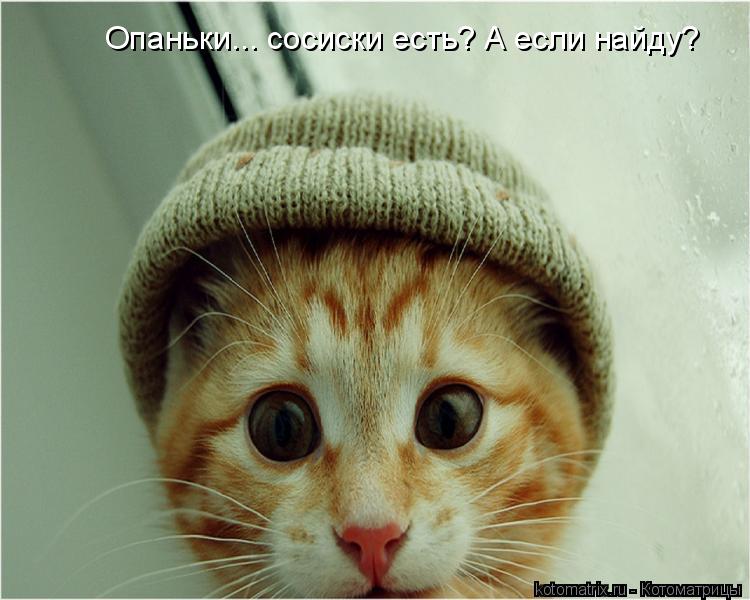 Опаньки... сосиски есть? А если найду?... Котоматрица: Опаньки... сосиски есть? А если найду?