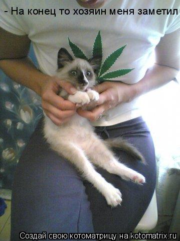 - На конец то хозяин меня заметил... Котоматрица: - На конец то хозяин меня заметил