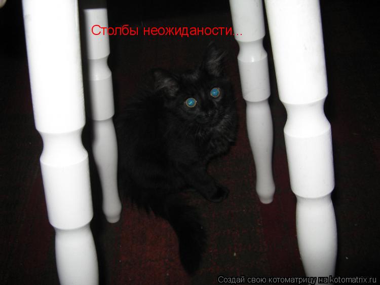 Столбы неожиданости...... Котоматрица: Столбы неожиданости...
