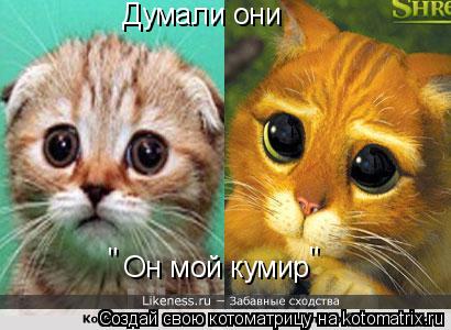 Он мой кумир " " Думали они... Котоматрица: Он мой кумир " " Думали они