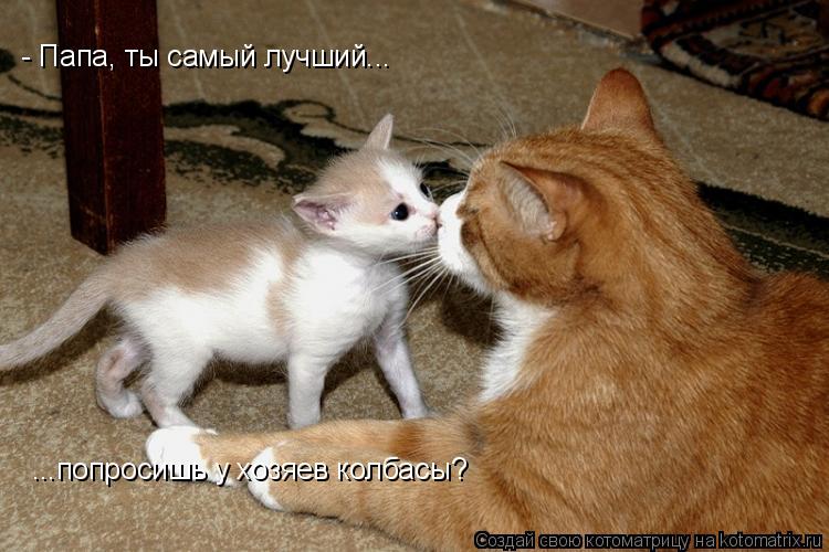 - Папа, ты самый лучший... ...попросишь у хозяев колбасы?... Котоматрица: - Папа, ты самый лучший... ...попросишь у хозяев колбасы?