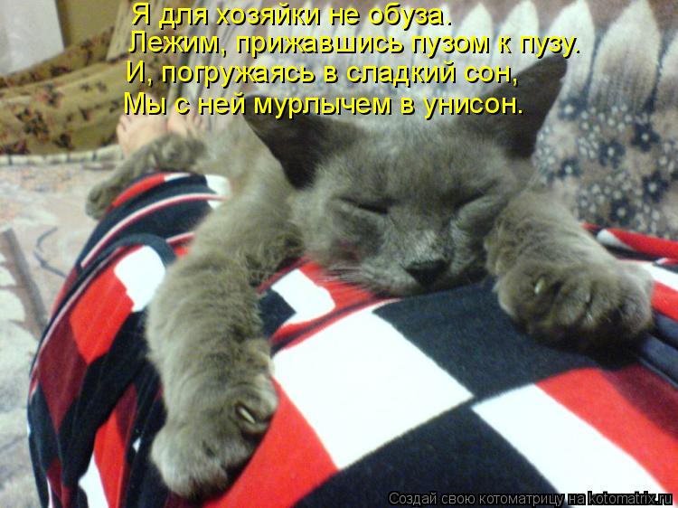 Я для хозяйки не обуза. Лежим, прижавшись пузом к пузу. И, погружаясь в сладкий сон, Мы с ней мурлыч... Котоматрица: Я для хозяйки не обуза. Лежим, прижавшись пузом к пузу. И, погружаясь в сладкий сон, Мы с ней мурлычем в унисон.