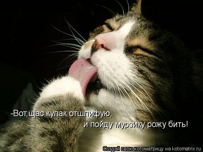 -Вот,щас кулак отшлифую, и пойду мурзику рожу бить!... Котоматрица: -Вот,щас кулак отшлифую, и пойду мурзику рожу бить!