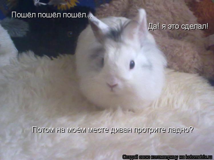 Пошёл пошёл пошёл... Да! я это сделал! Потом на моём месте диван протрите ладно?... Котоматрица: Пошёл пошёл пошёл... Да! я это сделал! Потом на моём месте диван протрите ладно?