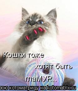 Кошки тоже хотят быть глаМУР...... Котоматрица: Кошки тоже хотят быть глаМУР...