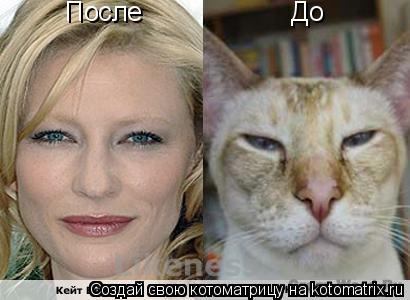 До После... Котоматрица: До После