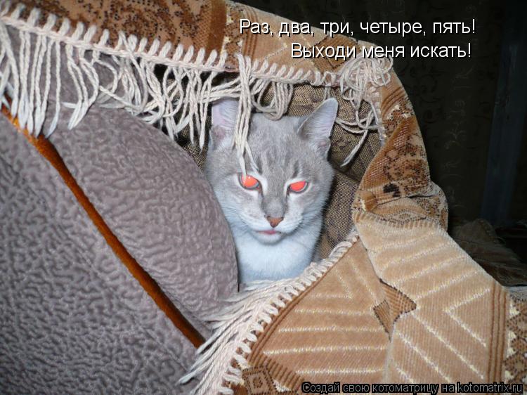 Раз, два, три, четыре, пять! Выходи меня искать!... Котоматрица: Раз, два, три, четыре, пять! Выходи меня искать!