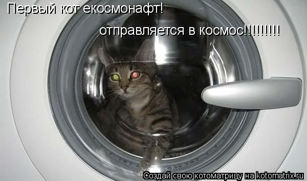 Первый кот екосмонафт! отправляется в космос!!!!!!!!!... Котоматрица: Первый кот екосмонафт! отправляется в космос!!!!!!!!!