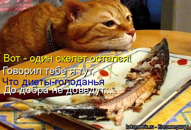 До добра не доведут... Вот - один скелет остался! Говорил тебе я тут, Что диеты-голоданья... Котоматрица: До добра не доведут... Вот - один скелет остался! Говорил тебе я тут, Что диеты-голоданья