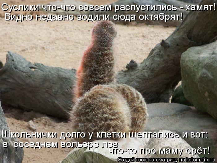 Суслики что-что совсем распустились - хамят! Видно недавно водили сюда октябрят! что-то про маму орёт... Котоматрица: Суслики что-что совсем распустились - хамят! Видно недавно водили сюда октябрят! что-то про маму орёт! Школьнички долго у клетки шептались и