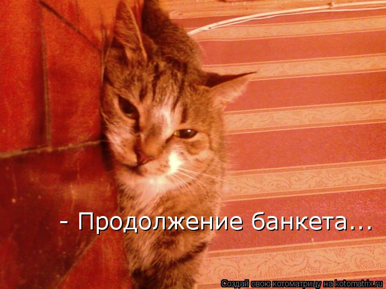 - Продолжение банкета...... Котоматрица: - Продолжение банкета...