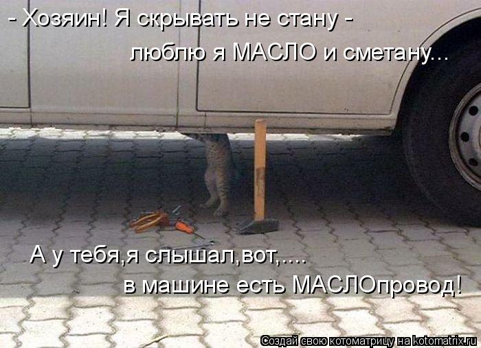 - Хозяин! Я скрывать не стану - люблю я МАСЛО и сметану... А у тебя,я слышал,вот,.... в машине есть М... Котоматрица: - Хозяин! Я скрывать не стану - люблю я МАСЛО и сметану... А у тебя,я слышал,вот,.... в машине есть МАСЛОпровод!