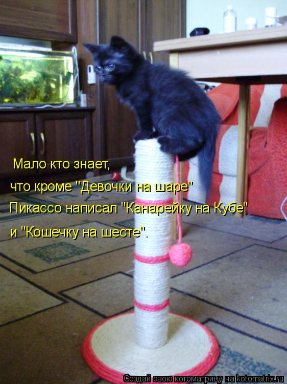 Мало кто знает, что кроме "Девочки на шаре" Пикассо написал "Канарейку на Кубе" и "Кошечку на шесте"... Котоматрица: Мало кто знает, что кроме "Девочки на шаре" Пикассо написал "Канарейку на Кубе" и "Кошечку на шесте".