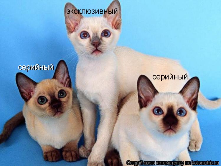 серийный серийный эксклюзивный... Котоматрица: серийный серийный эксклюзивный