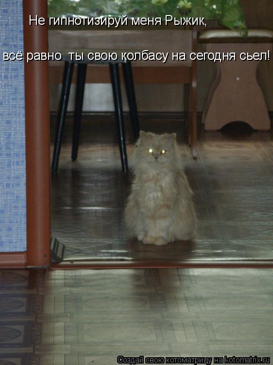 Не гипнотизируй меня Рыжик, всё равно ты свою колбасу на сегодня сьел!... Котоматрица: Не гипнотизируй меня Рыжик, всё равно ты свою колбасу на сегодня сьел!