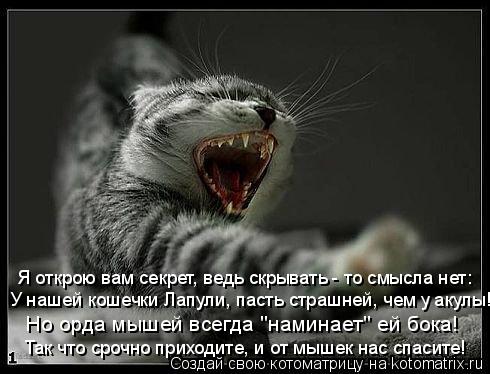 Я открою вам секрет, ведь скрывать - то смысла нет: У нашей кошечки Лапули, пасть страшней, чем у аку... Котоматрица: Я открою вам секрет, ведь скрывать - то смысла нет: У нашей кошечки Лапули, пасть страшней, чем у акулы! Но орда мышей всегда "наминает" ей бока