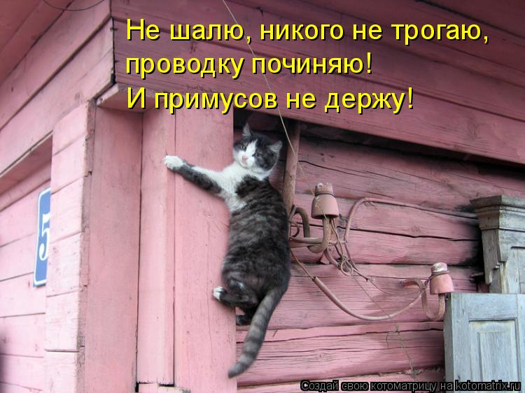 Не шалю, никого не трогаю, проводку починяю! И примусов не держу!... Котоматрица: Не шалю, никого не трогаю, проводку починяю! И примусов не держу!