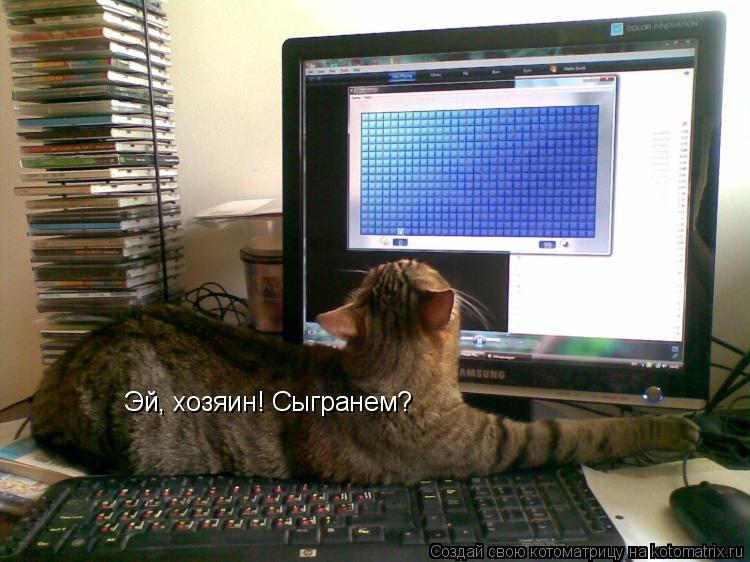 Эй, хозяин! Сыгранем?... Котоматрица: Эй, хозяин! Сыгранем?