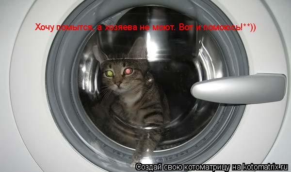 Хочу помытся, а хозяева не моют. Вот и помоюсь!**))... Котоматрица: Хочу помытся, а хозяева не моют. Вот и помоюсь!**))