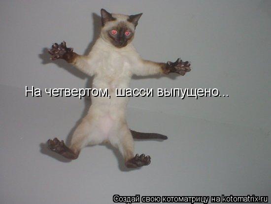 На четвертом, шасси выпущено...... Котоматрица: На четвертом, шасси выпущено...