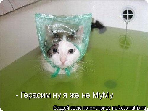 - Герасим ну я же не МуМу.... Котоматрица: - Герасим ну я же не МуМу.
