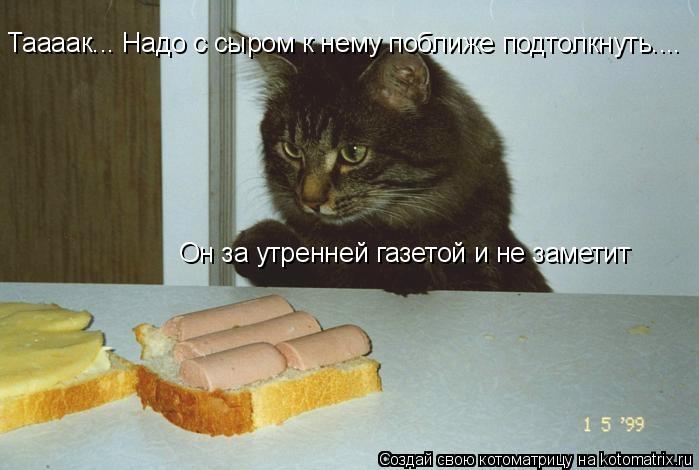 Таааак... Надо с сыром к нему поближе подтолкнуть.... Он за утренней газетой и не заметит... Котоматрица: Таааак... Надо с сыром к нему поближе подтолкнуть.... Он за утренней газетой и не заметит