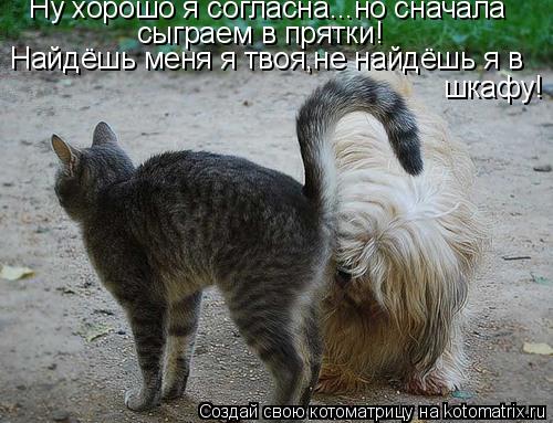 Ну хорошо я согласна...но сначала сыграем в прятки! Найдёшь меня я твоя,не найдёшь я в шкафу!... Котоматрица: Ну хорошо я согласна...но сначала сыграем в прятки! Найдёшь меня я твоя,не найдёшь я в шкафу!
