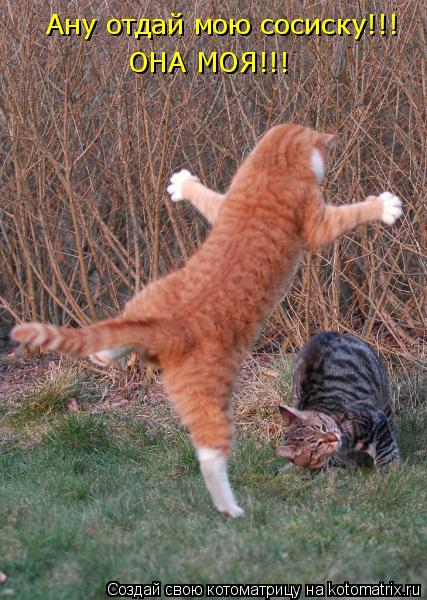 Ану отдай мою сосиску!!! ОНА МОЯ!!!... Котоматрица: Ану отдай мою сосиску!!! ОНА МОЯ!!!
