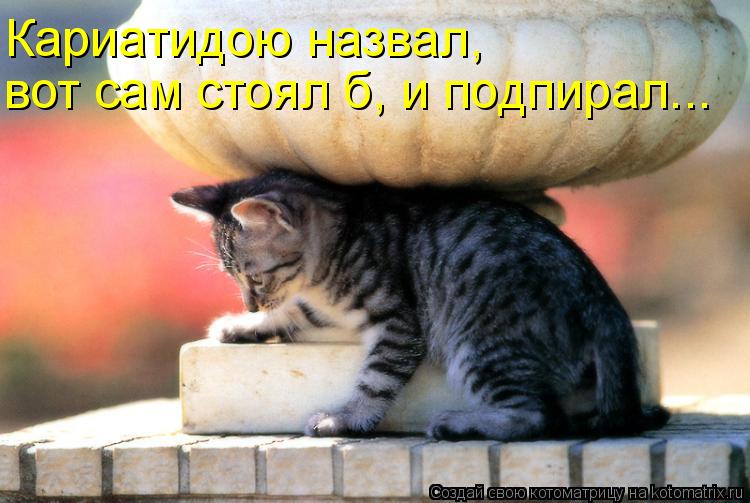 Кариатидою назвал, вот сам стоял б, и подпирал...... Котоматрица: Кариатидою назвал, вот сам стоял б, и подпирал...