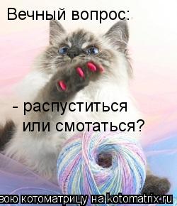 Вечный вопрос: - распуститься или смотаться?... Котоматрица: Вечный вопрос: - распуститься или смотаться?