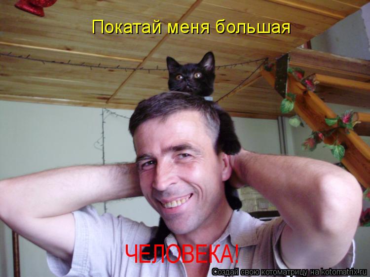 Покатай меня большая ЧЕЛОВЕКА!... Котоматрица: Покатай меня большая ЧЕЛОВЕКА!