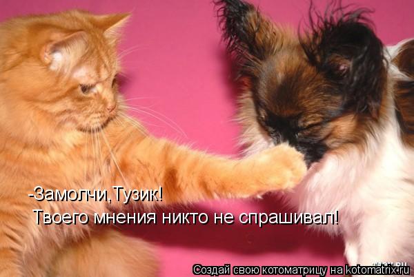 -Замолчи,Тузик! Твоего мнения никто не спрашивал!... Котоматрица: -Замолчи,Тузик! Твоего мнения никто не спрашивал!