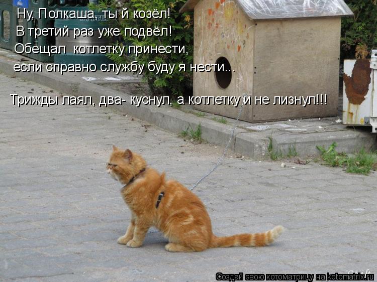 Ну, Полкаша, ты й козёл! В третий раз уже подвёл! если справно службу буду я нести... Обещал котлетк... Котоматрица: Ну, Полкаша, ты й козёл! В третий раз уже подвёл! если справно службу буду я нести... Обещал котлетку принести, Трижды лаял, два- куснул, а котл