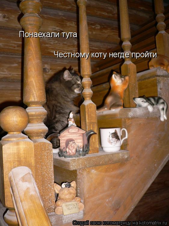 Понаехали тута Честному коту негде пройти... Котоматрица: Понаехали тута Честному коту негде пройти