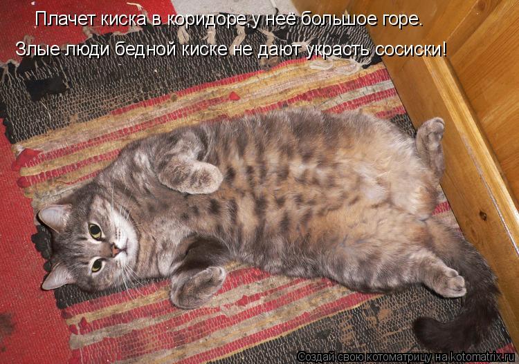 Плачет киска в коридоре,у неё большое горе. Злые люди бедной киске не дают украсть сосиски!... Котоматрица: Плачет киска в коридоре,у неё большое горе. Злые люди бедной киске не дают украсть сосиски!