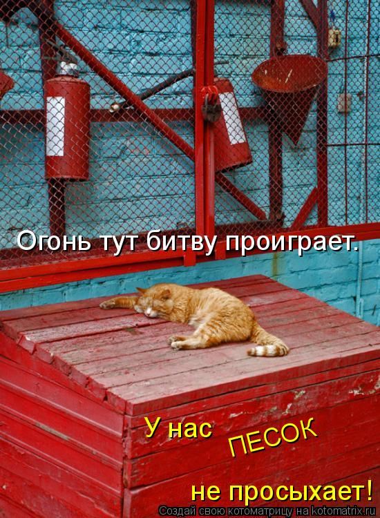 Котоматрица: Огонь тут битву проиграет. ПЕСОК У нас  не просыхает!