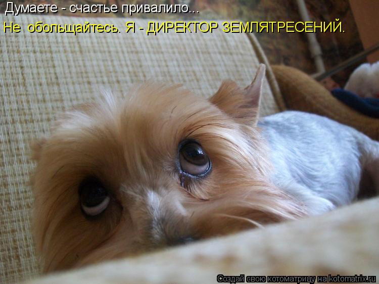 Думаете - счастье привалило... Не обольщайтесь. Я - ДИРЕКТОР ЗЕМЛЯТРЕСЕНИЙ.... Котоматрица: Думаете - счастье привалило... Не обольщайтесь. Я - ДИРЕКТОР ЗЕМЛЯТРЕСЕНИЙ.
