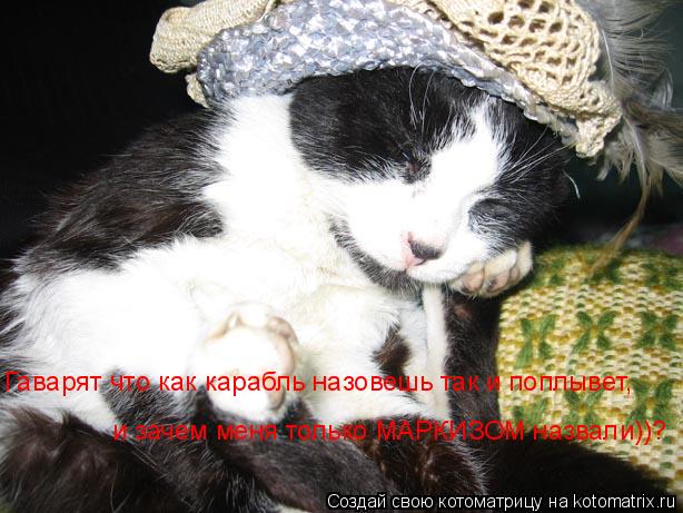 Гаварят что как карабль назовешь так и поплывет, и зачем меня МАРКИЗОМ назвали)))? Гаварят что как ка... Котоматрица: Гаварят что как карабль назовешь так и поплывет, и зачем меня МАРКИЗОМ назвали)))? Гаварят что как карабль назовешь так и поплывет, и зачем ме