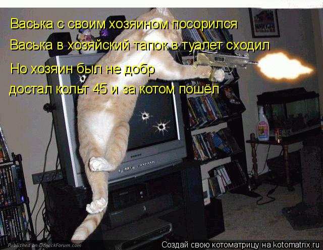 Васька с своим хозяином посорился Васька в хозяйский тапок в туалет сходил Но хозяин был не добр дос... Котоматрица: Васька с своим хозяином посорился Васька в хозяйский тапок в туалет сходил Но хозяин был не добр достал кольт 45 и за котом пошёл