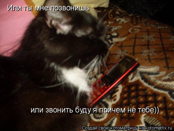 Или ты мне позвонишь или звонить буду я причем не тебе))... Котоматрица: Или ты мне позвонишь или звонить буду я причем не тебе))