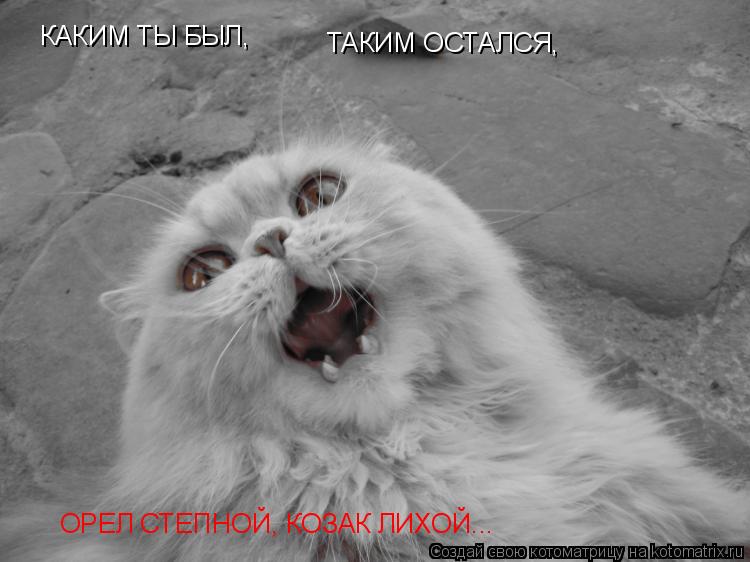 КАКИМ ТЫ БЫЛ, ТАКИМ ОСТАЛСЯ, ОРЕЛ СТЕПНОЙ, КОЗАК ЛИХОЙ...... Котоматрица: КАКИМ ТЫ БЫЛ, ТАКИМ ОСТАЛСЯ, ОРЕЛ СТЕПНОЙ, КОЗАК ЛИХОЙ...