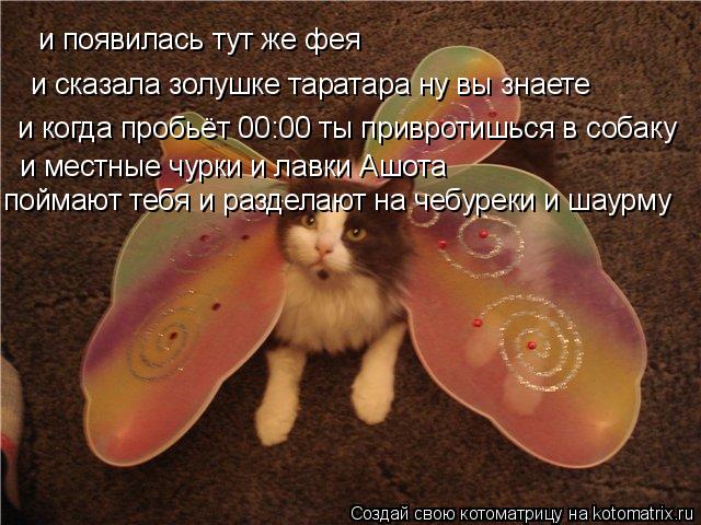 и появилась тут же фея и сказала золушке таратара ну вы знаете и когда пробьёт 00:00 ты привротишьс... Котоматрица: и появилась тут же фея и сказала золушке таратара ну вы знаете и когда пробьёт 00:00 ты привротишься в собаку и местные чурки и лавки Ашота п