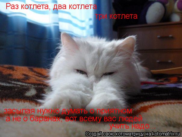 Раз котлета, два котлета три котлета засыпая нужно думать о приятном а не о баранах, вот всему вас лю... Котоматрица: Раз котлета, два котлета три котлета засыпая нужно думать о приятном а не о баранах, вот всему вас людей учить надо...