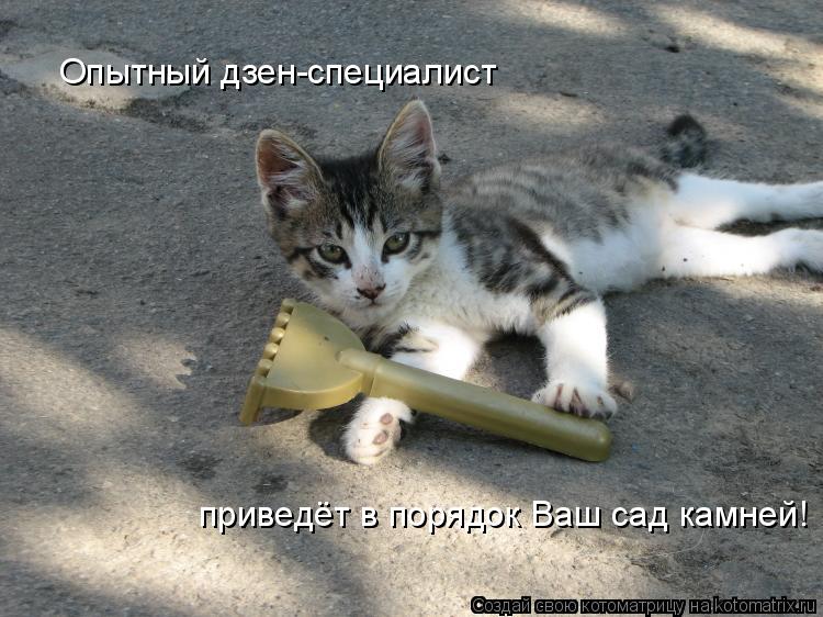 Опытный дзен-специалист приведёт в порядок Ваш сад камней!... Котоматрица: Опытный дзен-специалист приведёт в порядок Ваш сад камней!