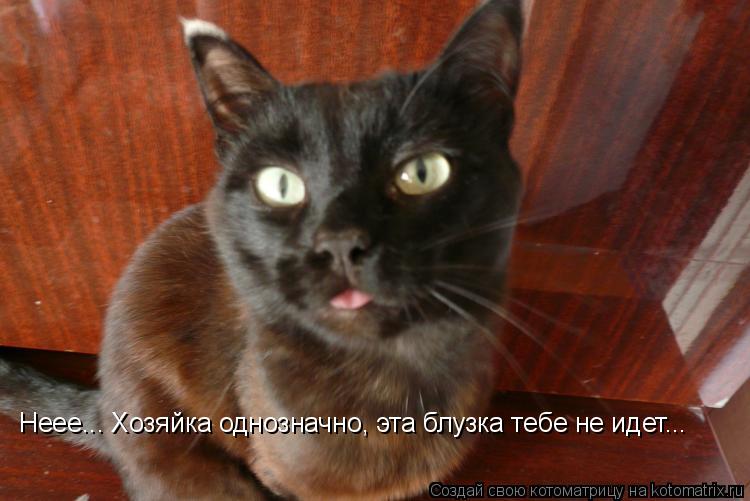 Неее... Хозяйка однозначно, эта блузка тебе не идет...... Котоматрица: Неее... Хозяйка однозначно, эта блузка тебе не идет...