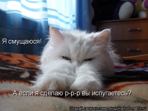 Я смущаюся! А если я сделаю р-р-р вы испугаетесь?... Котоматрица: Я смущаюся! А если я сделаю р-р-р вы испугаетесь?