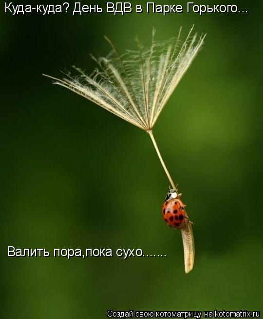 Куда-куда? День ВДВ в Парке Горького... Куда-куда? День ВДВ в Парке Горького... Валить пора,пока сухо... Котоматрица: Куда-куда? День ВДВ в Парке Горького... Куда-куда? День ВДВ в Парке Горького... Валить пора,пока сухо.......